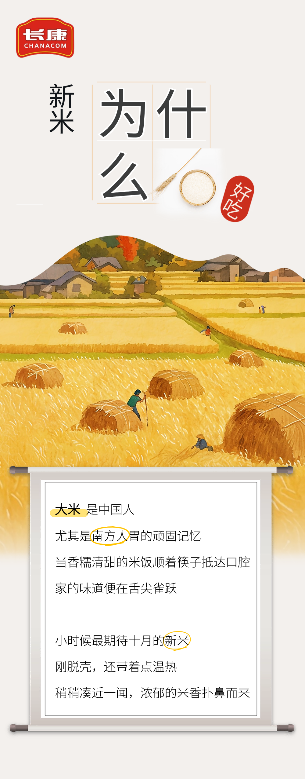 長(zhǎng)康科普｜“稻”時(shí)候了！為什么說(shuō)新米更好吃？